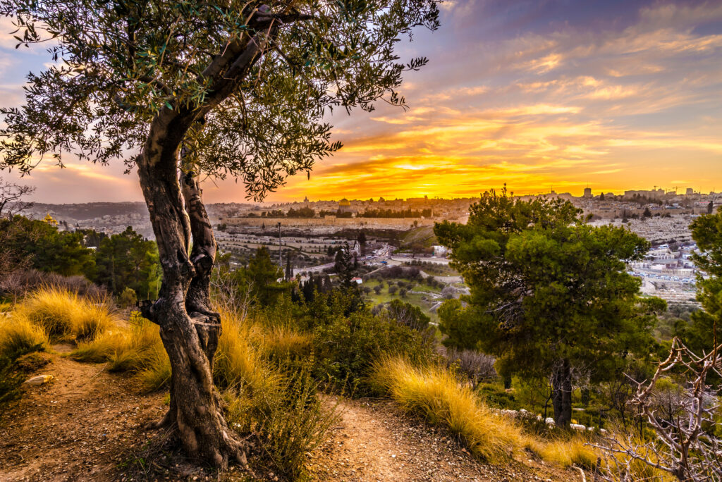 Jerusalem