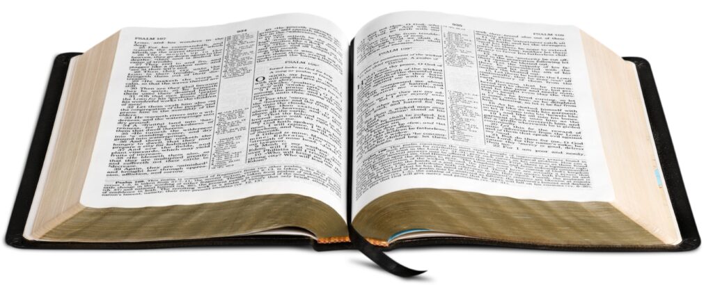 The New International Version of the Bible