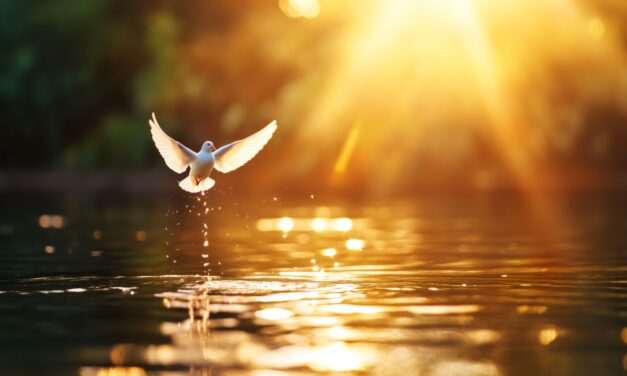 Clean & Sober with Jesus Christ and the Bible