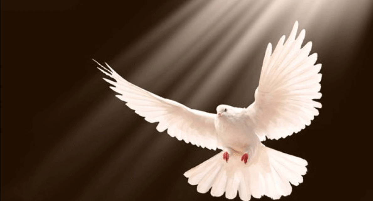 Removing Evil Thoughts Through The Holy Spirit