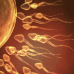 The Wisdom of Sexual Transmutation and Semen Retention