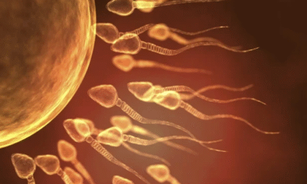 The Wisdom of Sexual Transmutation and Semen Retention