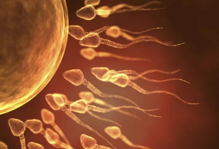 The Wisdom of Sexual Transmutation and Semen Retention