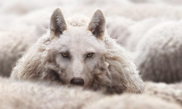 Beware of False Prophets Leading You Away from Christ