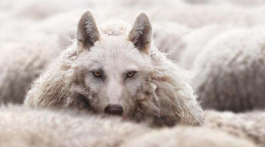 Beware of False Prophets Leading You Away from Christ